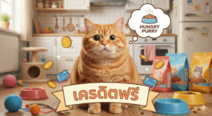 hungry purry เครดิตฟรี